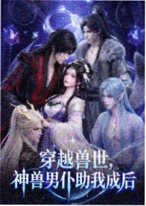 中年情书 封面
